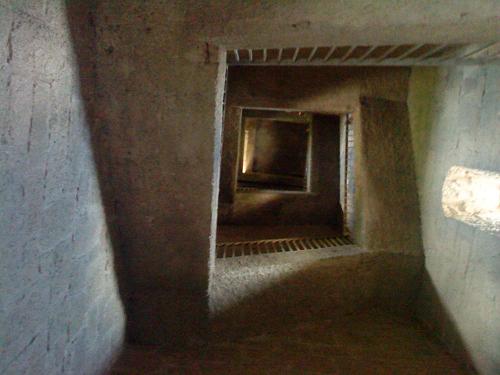 ����������� ���� 2010